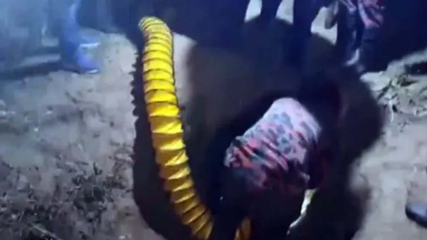 চট্টগ্রামে গভীর নলকূপের গর্তে পড়ে যাওয়া শিশু উদ্ধার