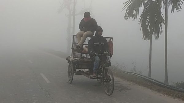 পঞ্চগড়ে তীব্র শীত ও ঘন কুয়াশা, বিপর্যস্ত জনজীবন