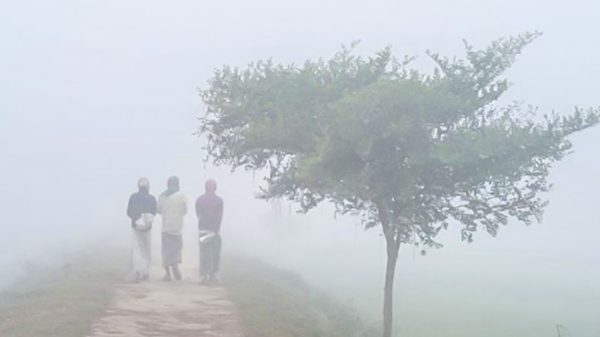 ফের বাড়তে পারে শীতের তীব্রতা