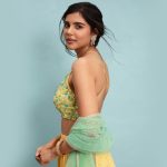 বলিউডে অভিষেক হচ্ছে দক্ষিণি অভিনেত্রী কল্যাণীর