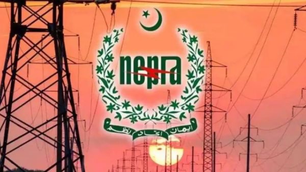 সাধারণ গ্রাহক পর্যায়ে বিদ্যুতের দাম কমালো পাকিস্তান