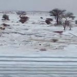 সৌদি আরবজুড়ে বয়ে যাচ্ছে শৈত্য প্রবাহ