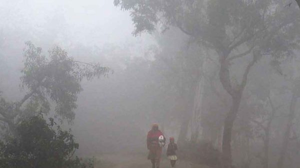 ৭.৭ ডিগ্রি তাপমাত্রায় কাঁপছে পঞ্চগড়