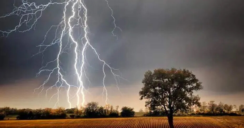 সুনামগঞ্জে বজ্রপাতে ৫ কৃষকের মৃত্যু
