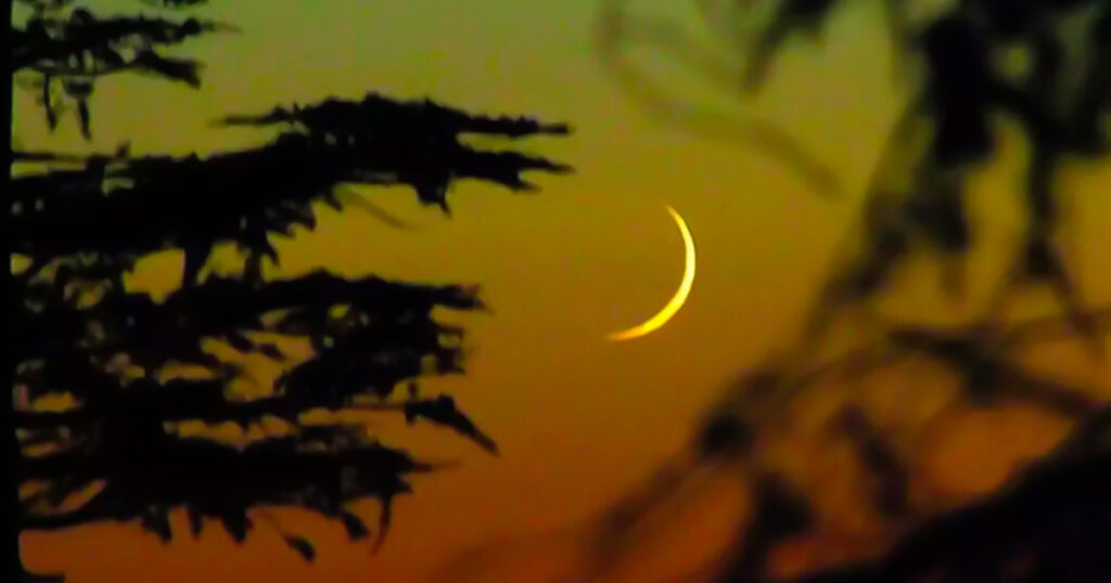 ঈদুল আজহার সম্ভাব্য তারিখ জানাল সুপারকো