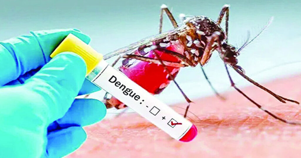 ডেঙ্গু আক্রান্ত হয়ে হাসপাতালে নতুন ভর্তি ২৪৯ ডেঙ্গু আক্রান্ত হয়ে হাসপাতালে নতুন ভর্তি ২৪৯