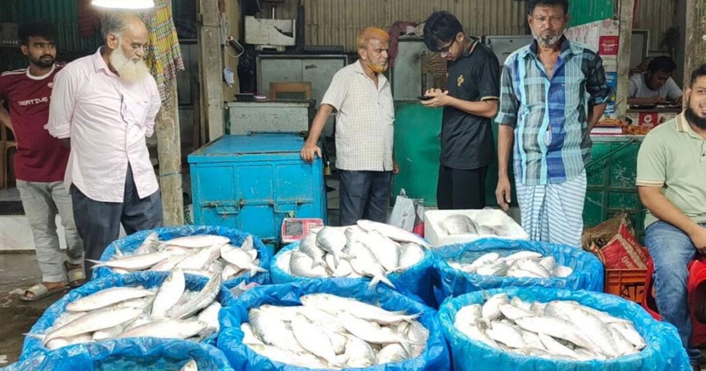 চাঁদপুরে তিন মণ আলুর দামে এক কেজি ইলিশ
