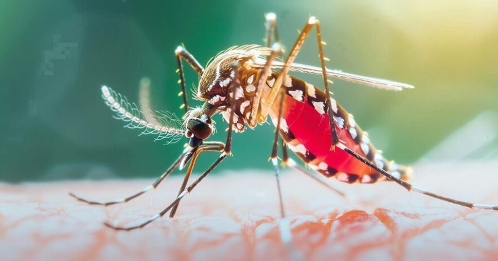 ডেঙ্গুতে আরও ৪ জনের মৃত্যু