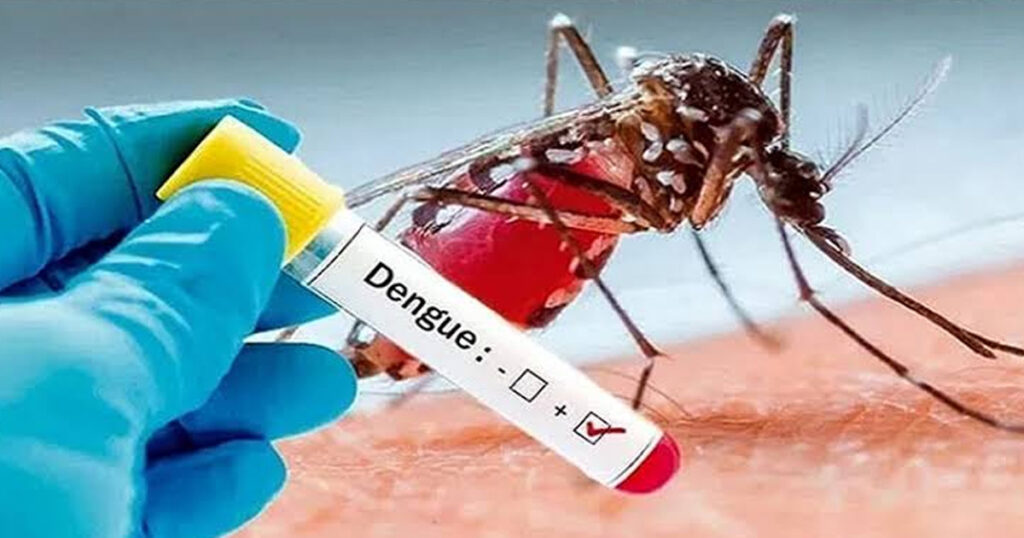 ডেঙ্গুতে একদিনে ৬ মৃত্যু, মোট প্রাণহানি ২৪৫