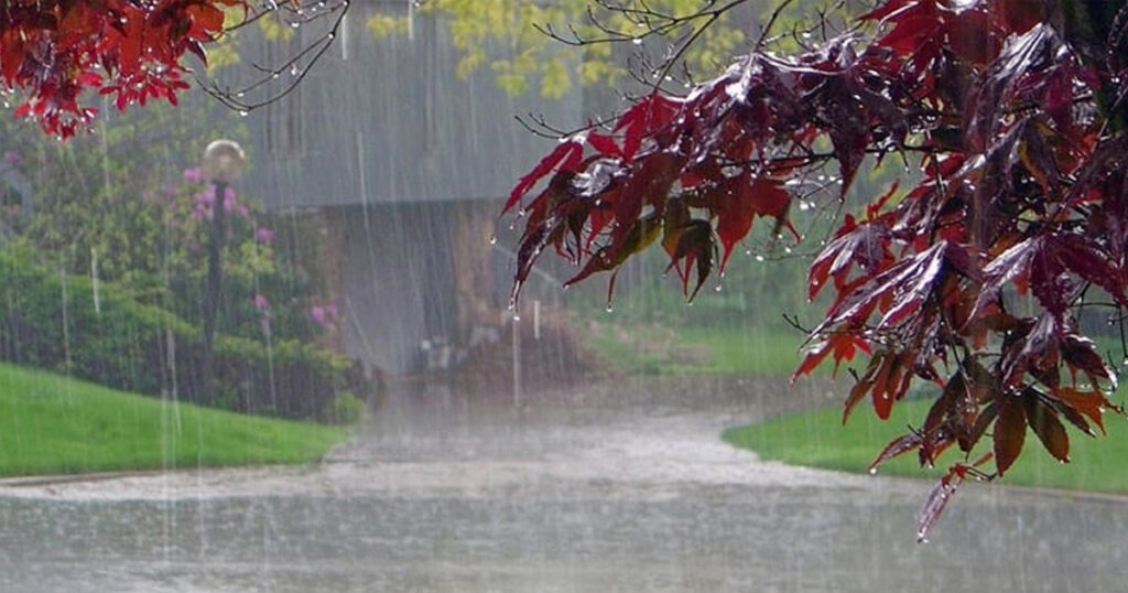 দুপুরের মধ্যে রাজধানীতে বজ্রসহ বৃষ্টির আভাস